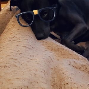 Meet your Posher, Julie